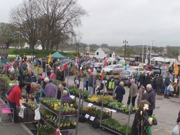 Kirkcudbright Plant Fair